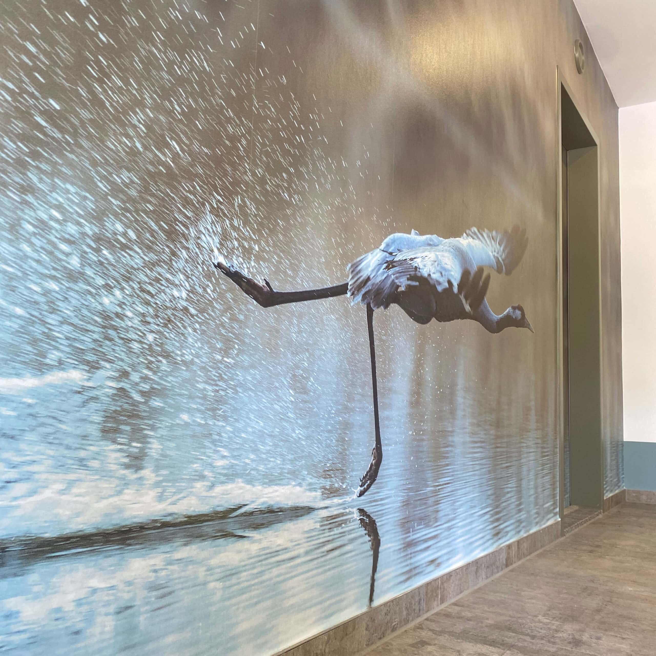 Referenzen Malermeister Langer Magdeburg